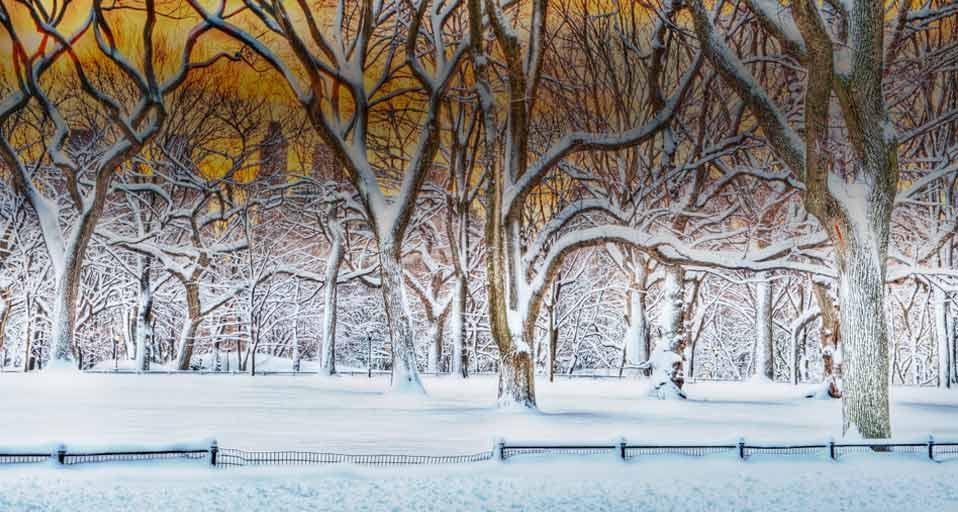 纽约暴风雪后的中央公园