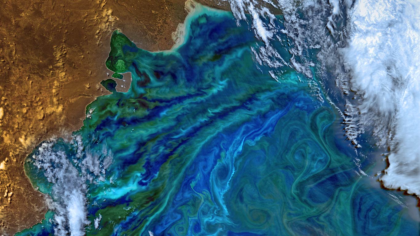 被浮游生物侵蚀的南美洲大西洋海岸