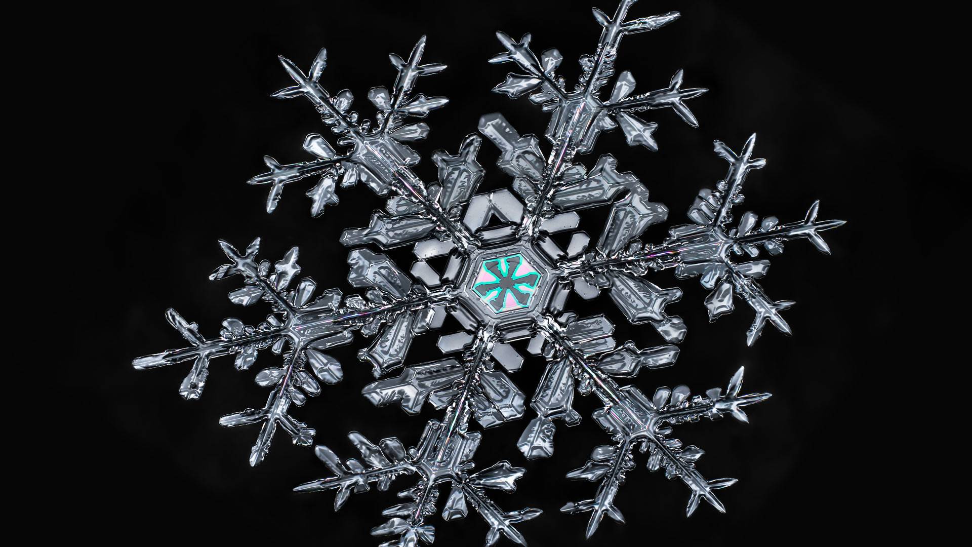 一片雪花 