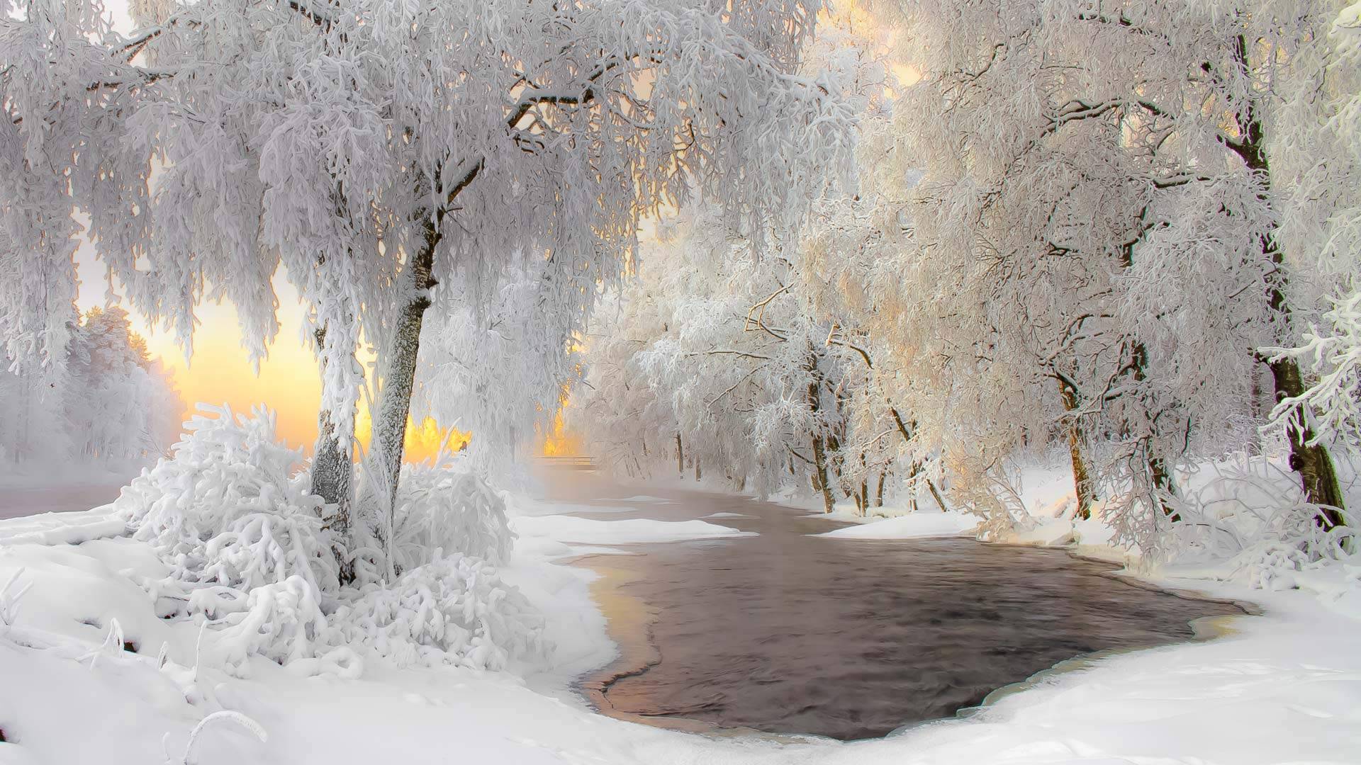 库赫莫附近的冬日美景，芬兰 