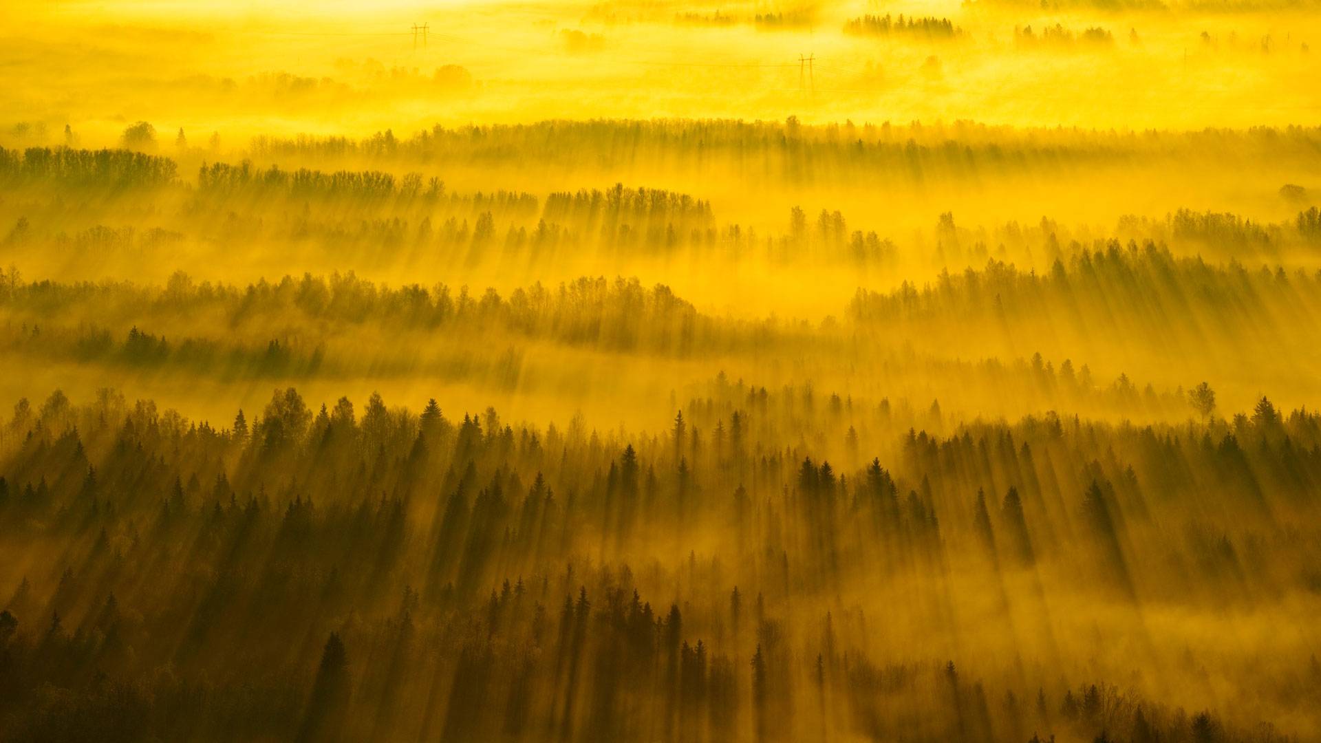 横跨塔尔图县的阳光，爱沙尼亚 
