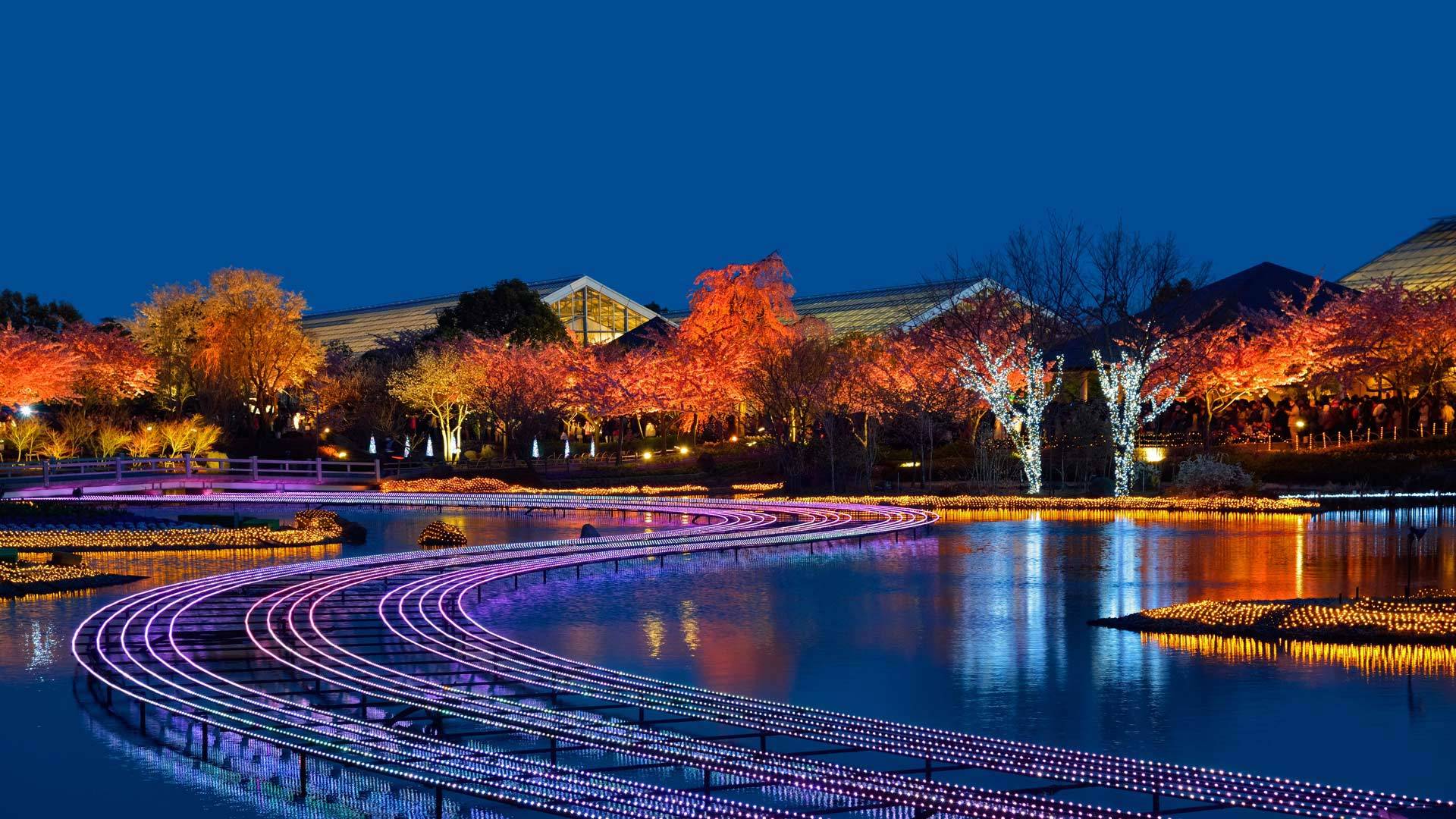名花之里冬季彩灯展，日本桑名市 