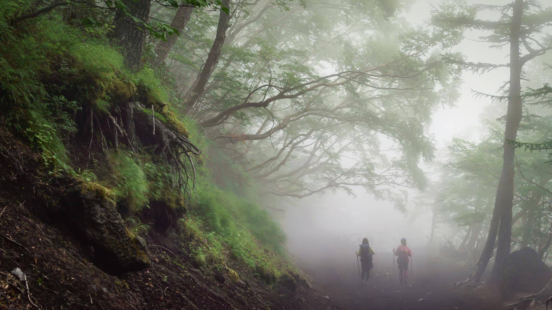 沿着富士山的吉田步道徒步旅行，日本 