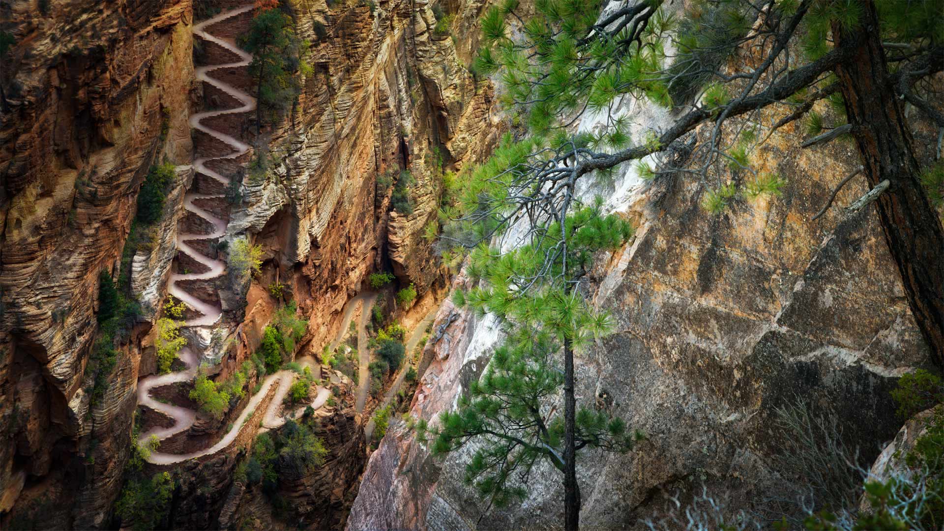 锡安国家公园中的Walter's Wiggles小径，犹他州 