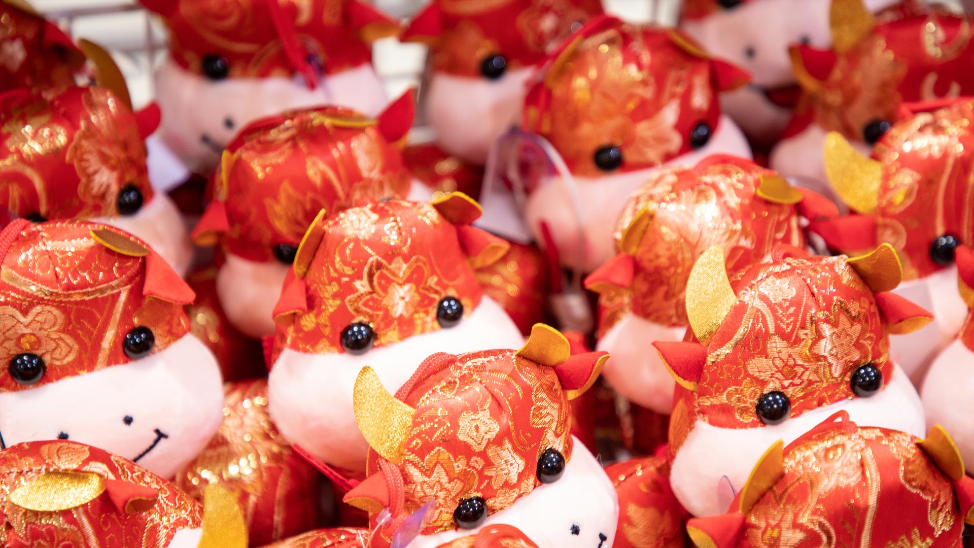 【新年快乐】 （ 