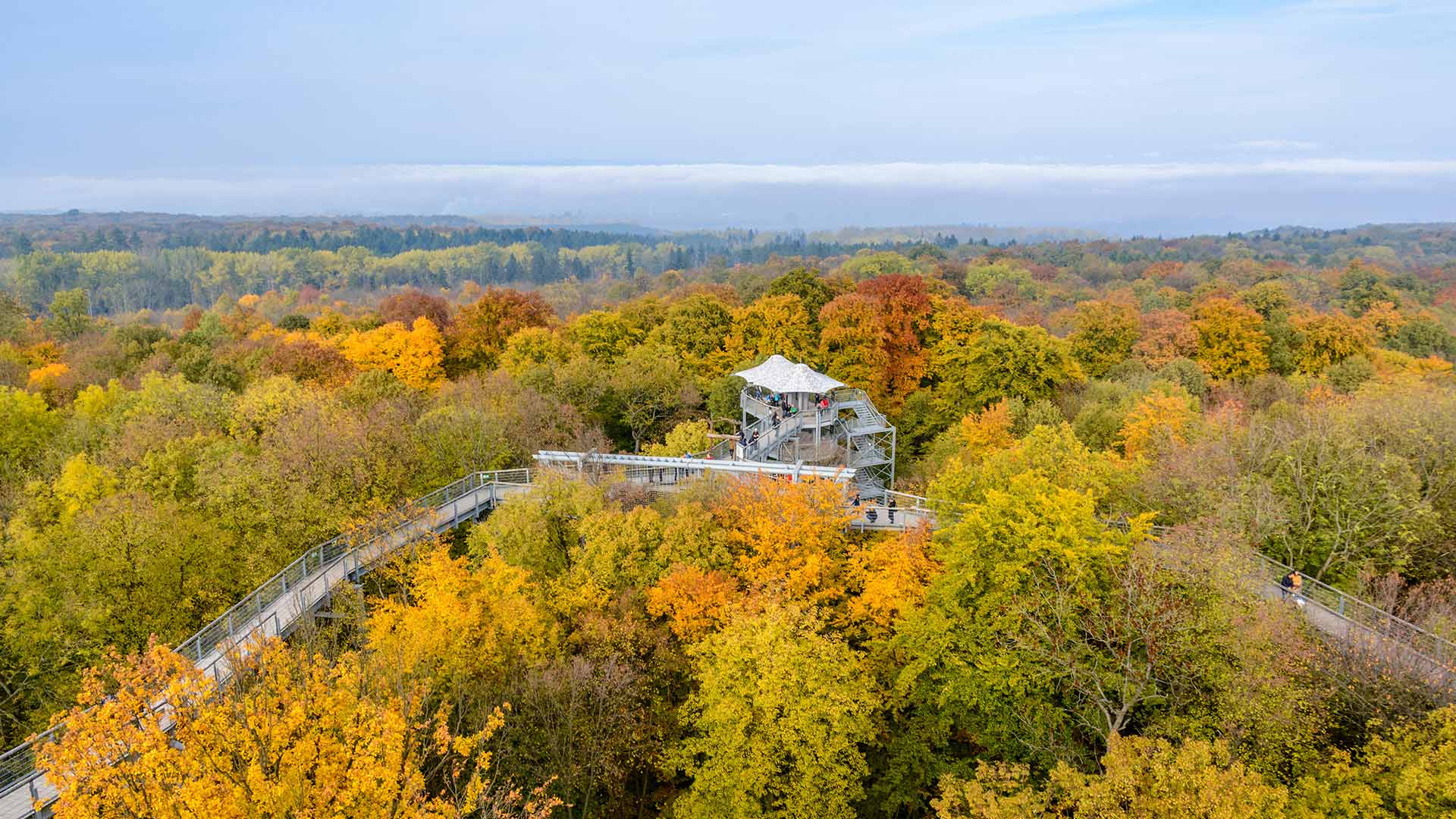 Treetop walkway in Hainich National Park, Thuringia, Germany 